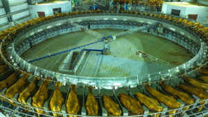 71cea397-38d9-438a-8fc4-bb41b22c54d5