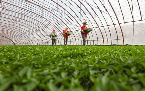 打好绿色牌 走好循环路——我市循环农业产业链发展综述