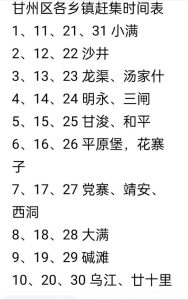 360截图20250108093708521