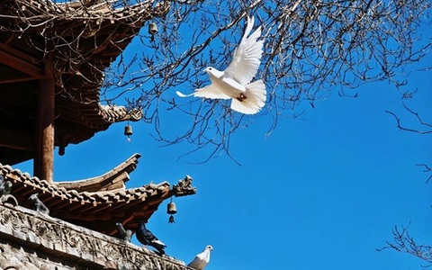 张掖市创业担保贷款申请办事指南