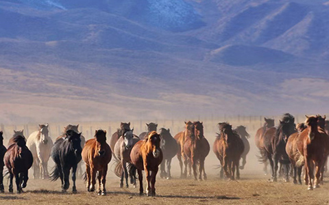 张掖市创业担保贷款政策有了新变化