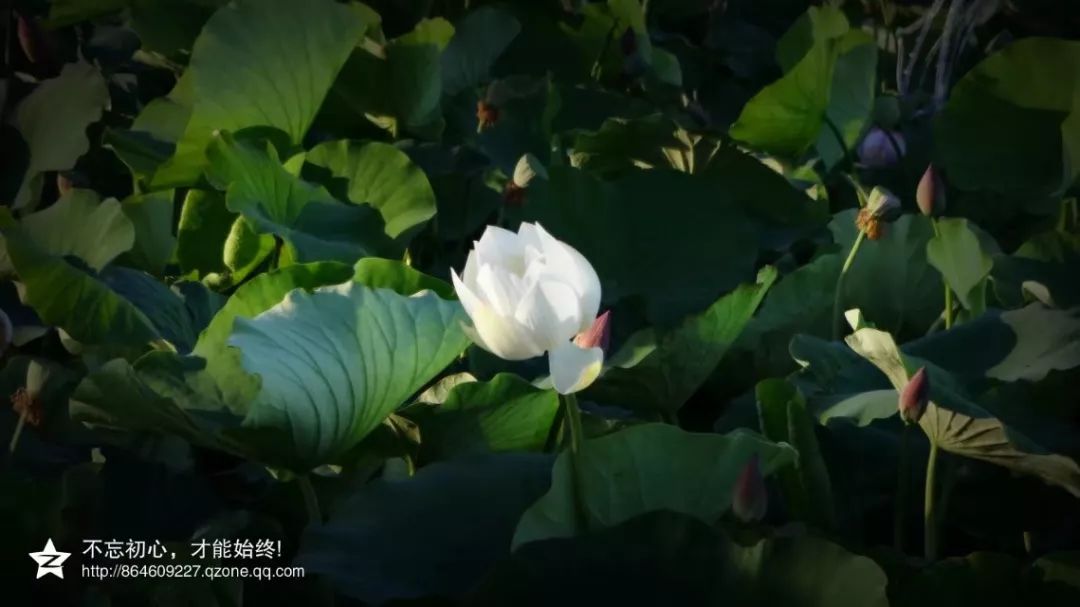 张掖是一座什么样的城市？