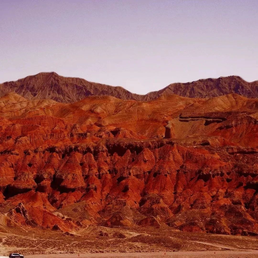 职等你来 | 外星谷招兵买马啦！