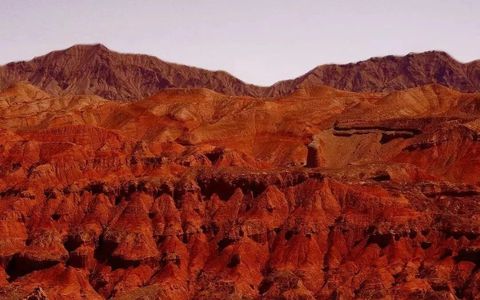 职等你来 | 外星谷招兵买马啦！