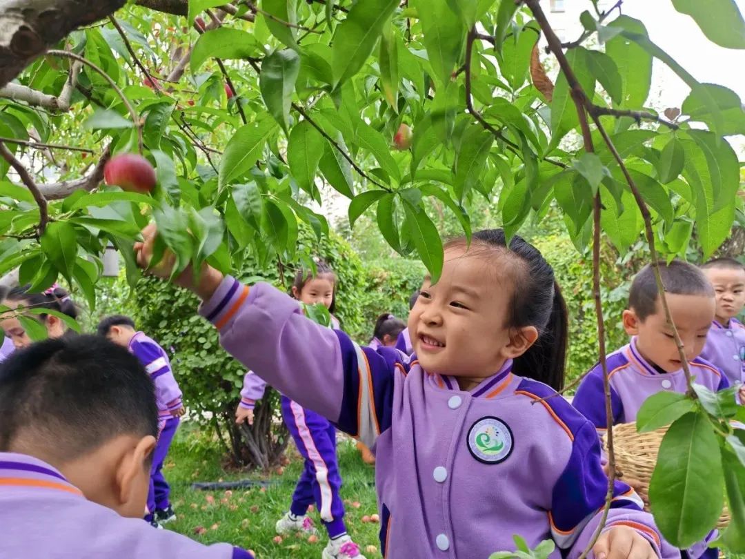 甘州区第二幼儿园2025年秋学期招生公告