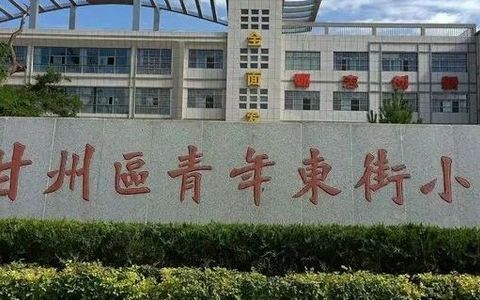 甘州区青年东街小学2025年招生工作方案