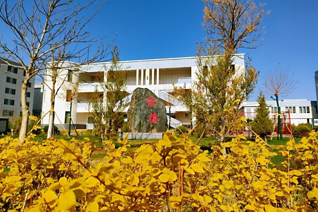 甘州区思源实验学校2025年一年级招生简章