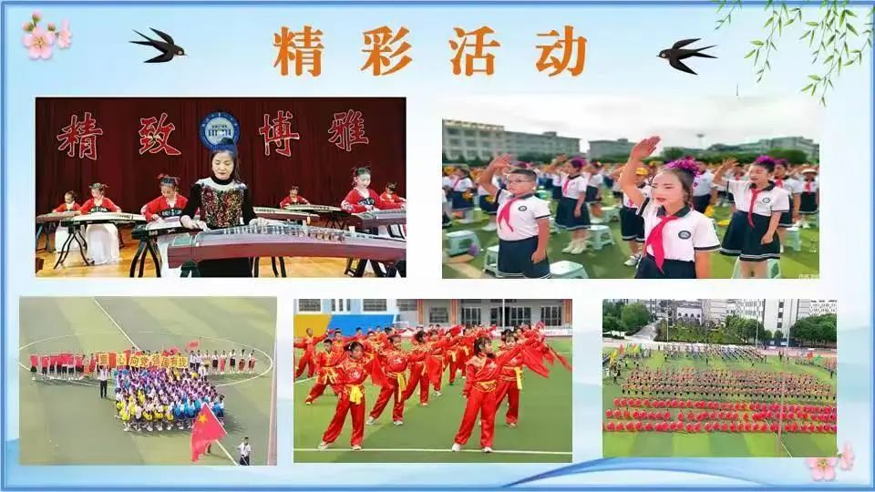 高台县关于2025年幼儿园和义务教育学校划片招生相关事宜的通告