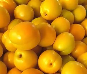 lQDPD3UofSNpSP3NBC7NBOyw5bdEAIrhYo8IXjT7sobVAA_1260_1070