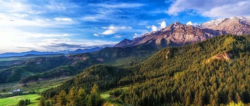 肃南县文化旅游市场咨询服务公告