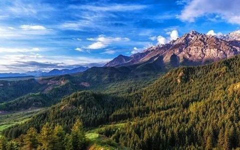 肃南县文化旅游市场咨询服务公告