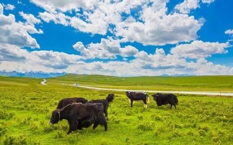 2025年山丹马场旅游景区闭园公告