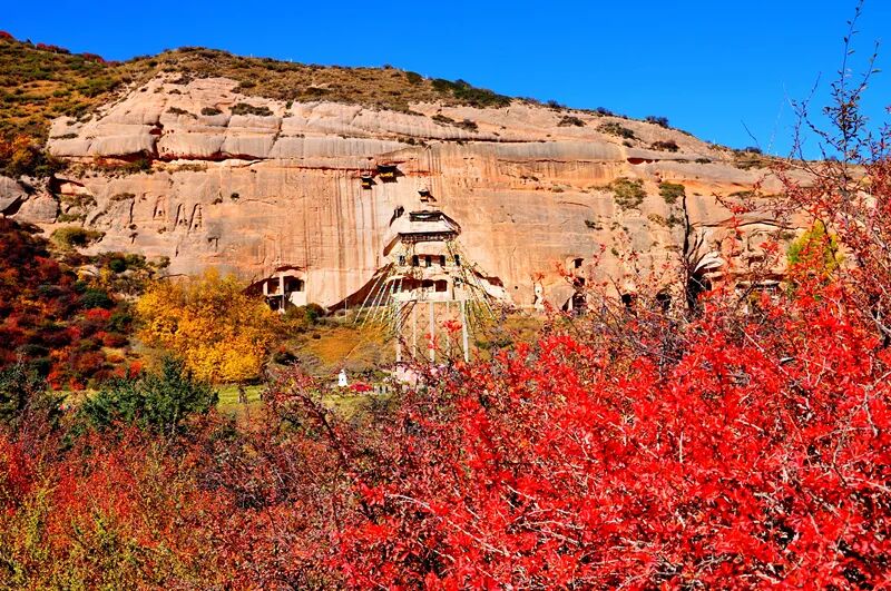 马蹄石窟群旅游区2026年春季招聘公告